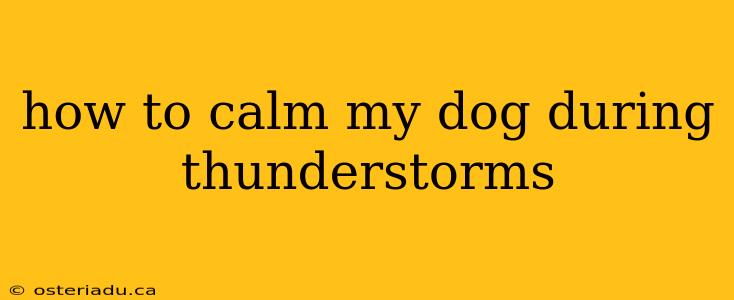 how to calm my dog during thunderstorms