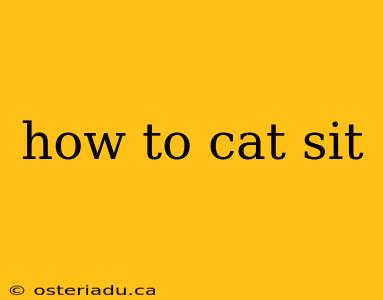 how to cat sit