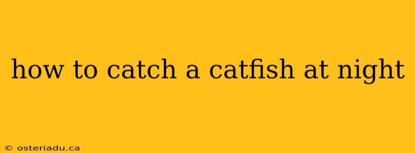 how to catch a catfish at night