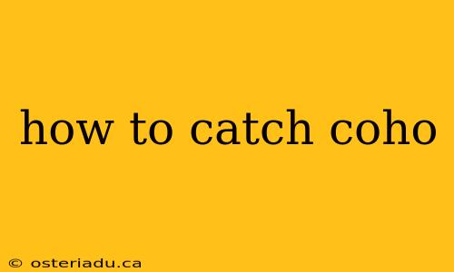 how to catch coho