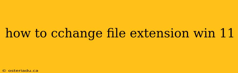 how to cchange file extension win 11