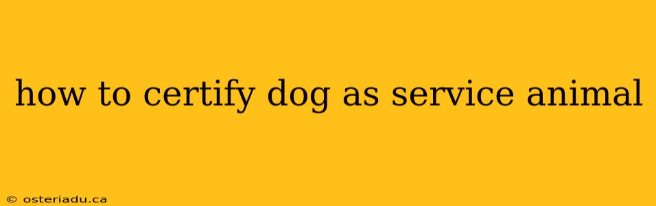 how to certify dog as service animal