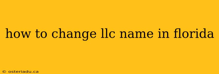 how to change llc name in florida