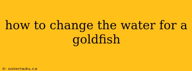 how to change the water for a goldfish