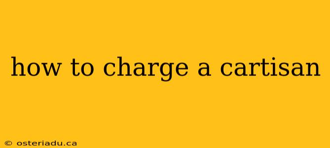 how to charge a cartisan