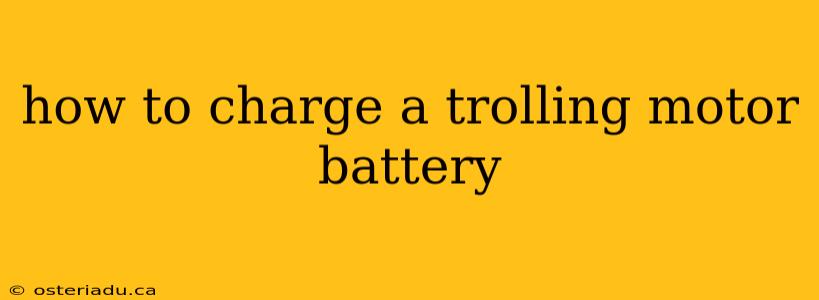 how to charge a trolling motor battery