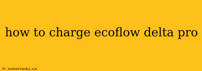 how to charge ecoflow delta pro