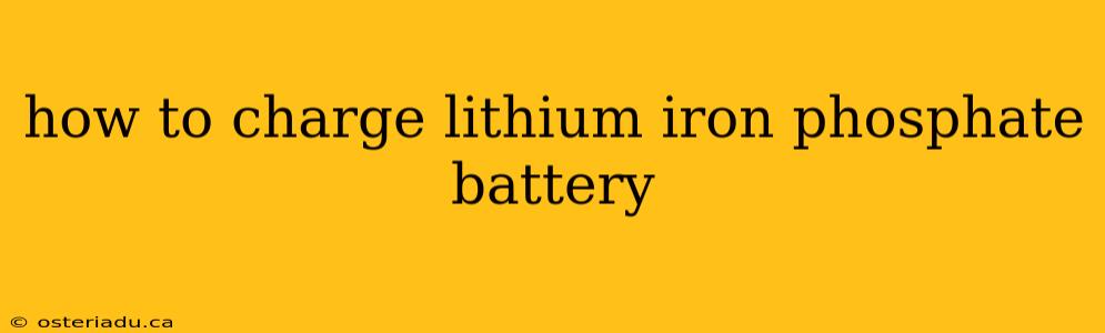 how to charge lithium iron phosphate battery