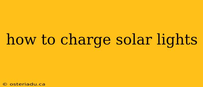 how to charge solar lights