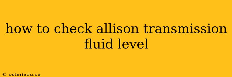 how to check allison transmission fluid level