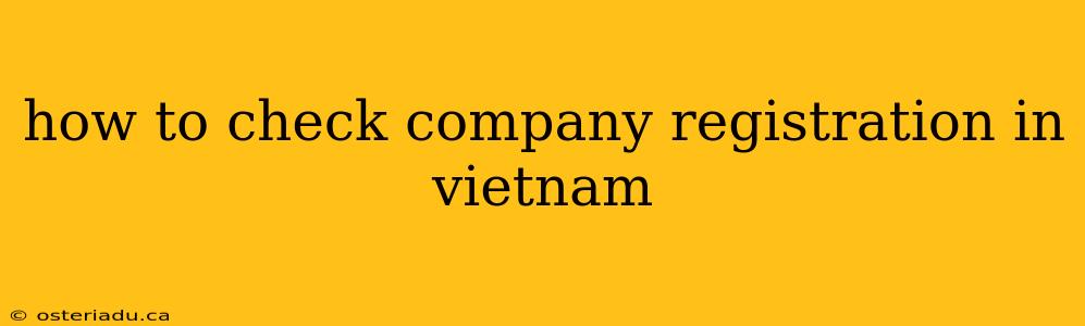 how to check company registration in vietnam