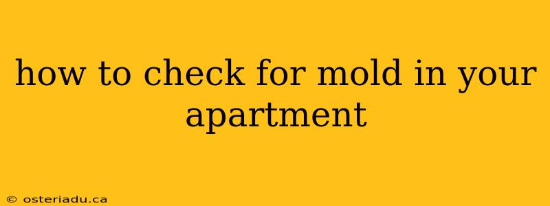 how to check for mold in your apartment