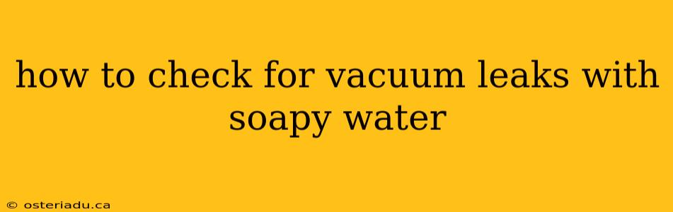 how to check for vacuum leaks with soapy water