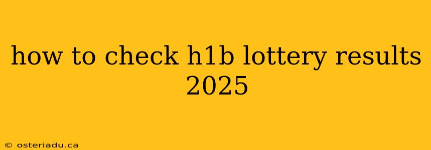 how to check h1b lottery results 2025