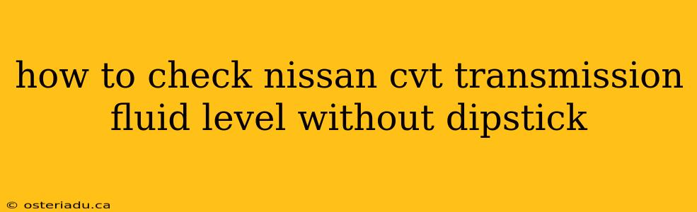 how to check nissan cvt transmission fluid level without dipstick