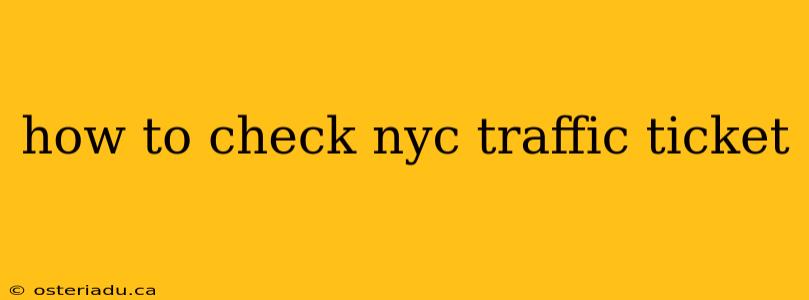 how to check nyc traffic ticket