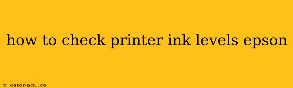 how to check printer ink levels epson