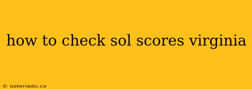 how to check sol scores virginia