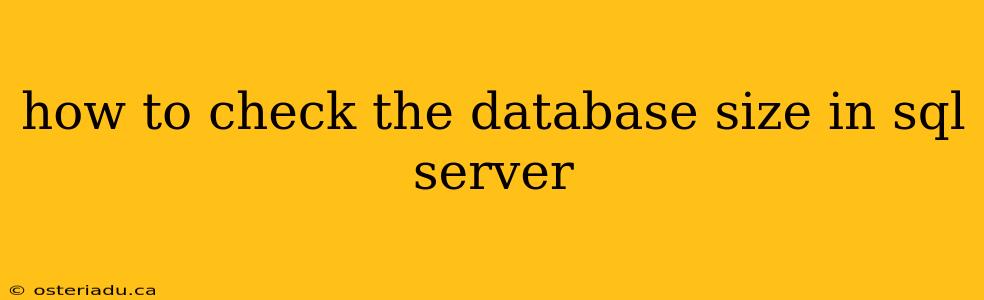 how to check the database size in sql server