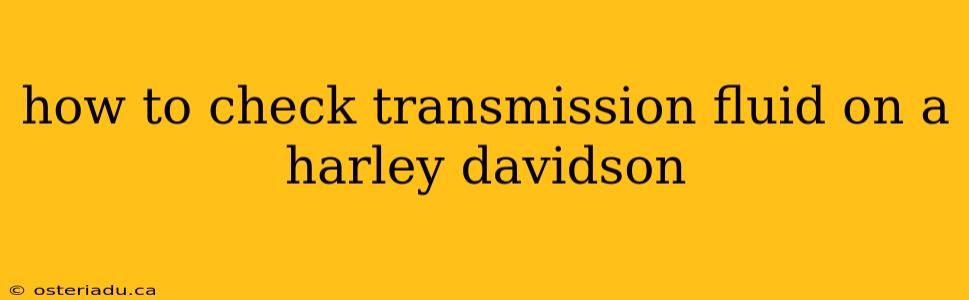 how to check transmission fluid on a harley davidson