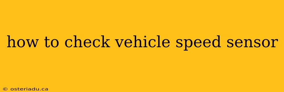 how to check vehicle speed sensor