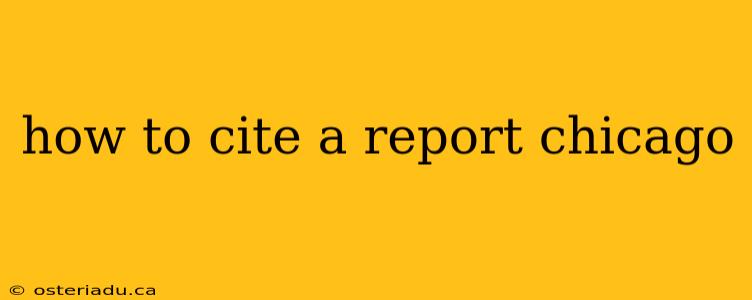 how to cite a report chicago