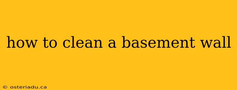 how to clean a basement wall