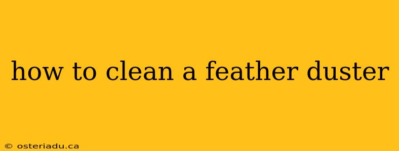 how to clean a feather duster