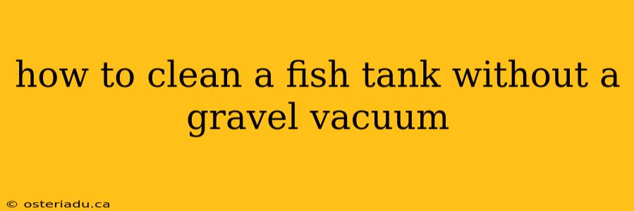 how to clean a fish tank without a gravel vacuum