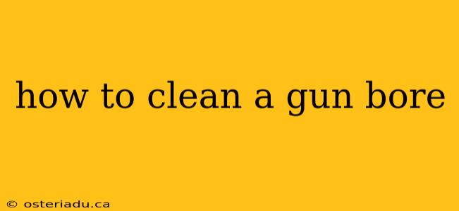 how to clean a gun bore