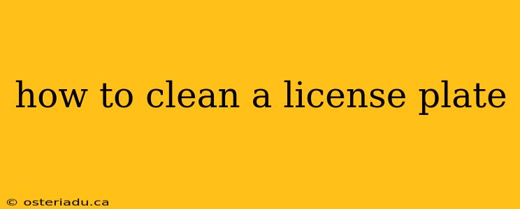 how to clean a license plate