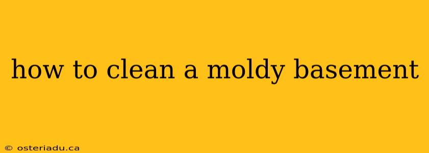 how to clean a moldy basement