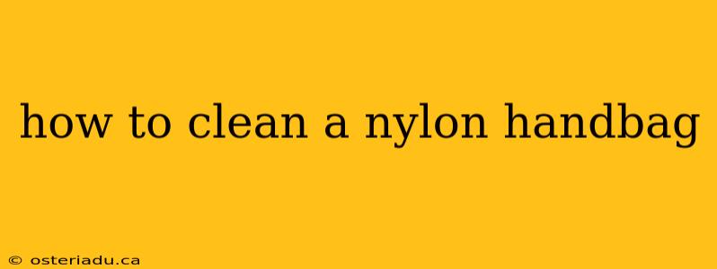 how to clean a nylon handbag