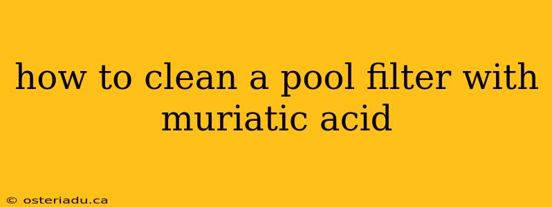 how to clean a pool filter with muriatic acid