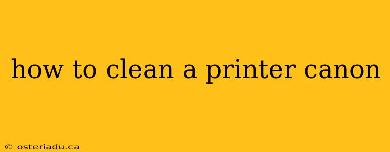 how to clean a printer canon