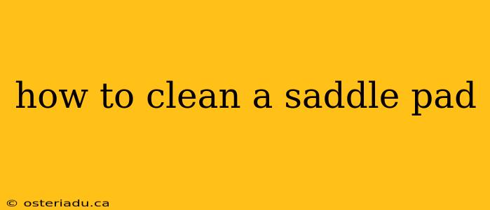 how to clean a saddle pad