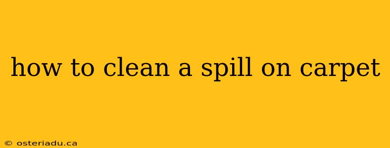 how to clean a spill on carpet