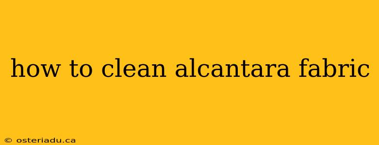 how to clean alcantara fabric