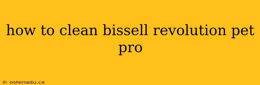 how to clean bissell revolution pet pro