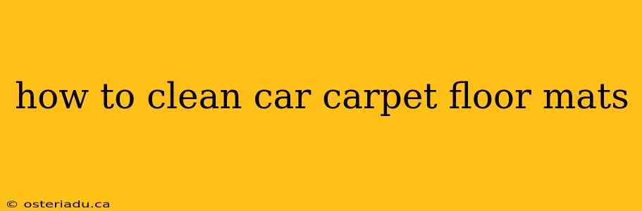 how to clean car carpet floor mats