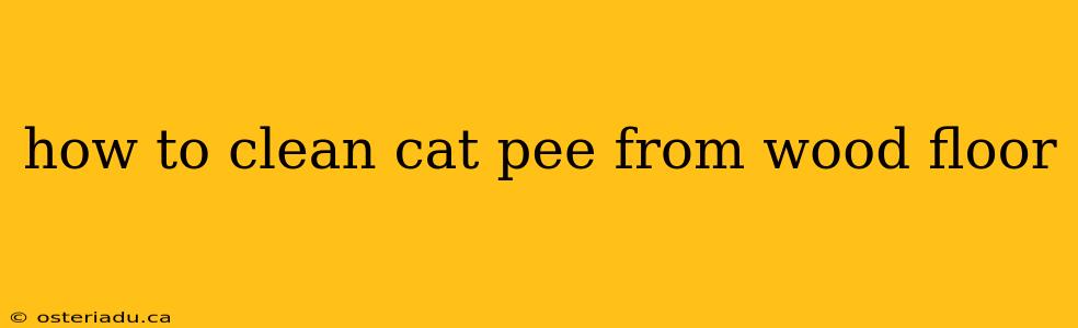 how to clean cat pee from wood floor