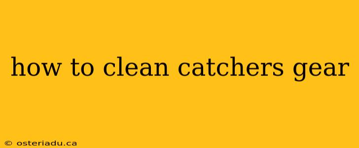 how to clean catchers gear