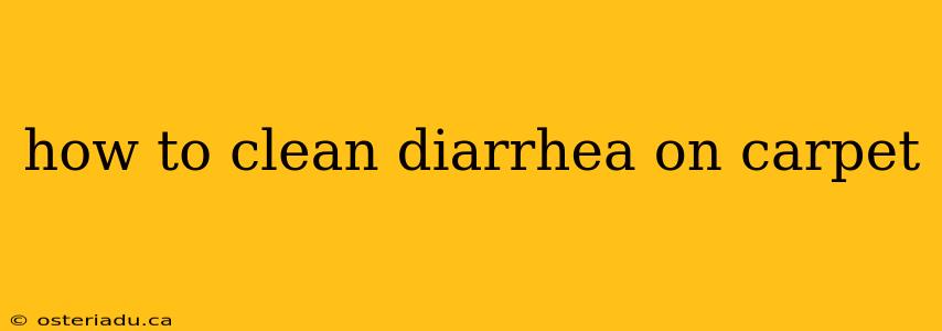 how to clean diarrhea on carpet