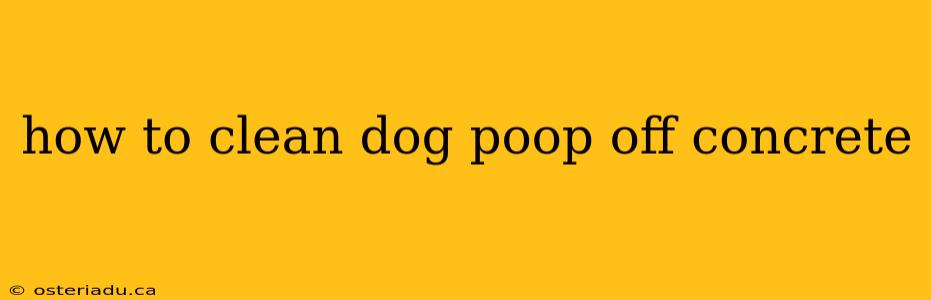 how to clean dog poop off concrete