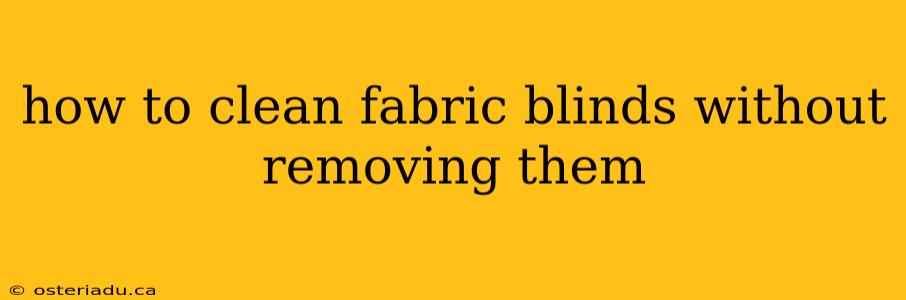 how to clean fabric blinds without removing them