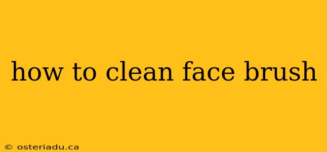 how to clean face brush