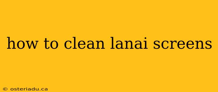 how to clean lanai screens