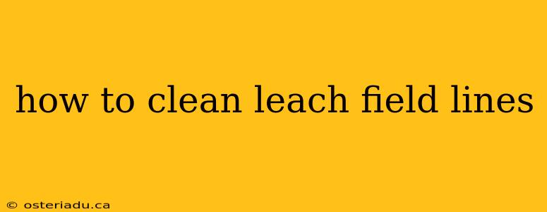 how to clean leach field lines