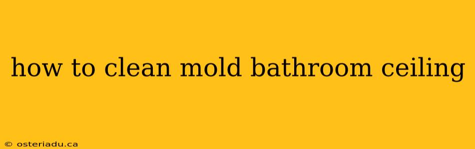 how to clean mold bathroom ceiling