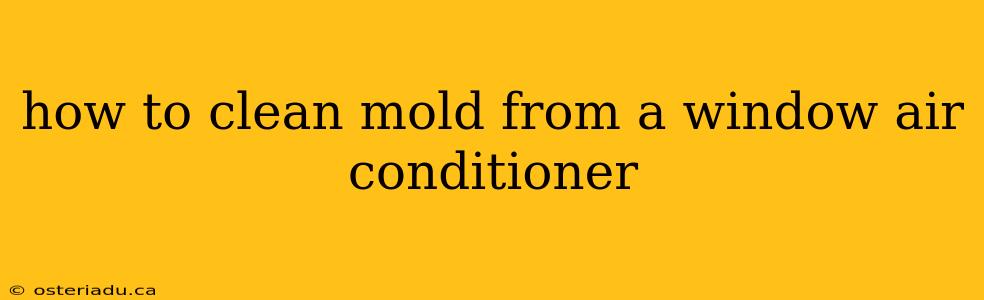 how to clean mold from a window air conditioner